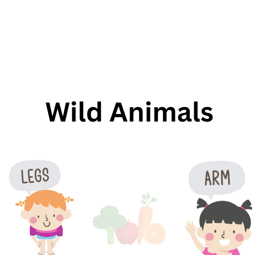 Wild Animals